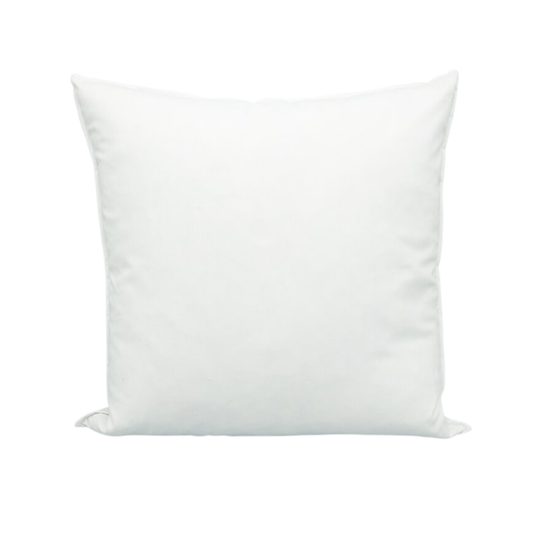 Pillow Insert